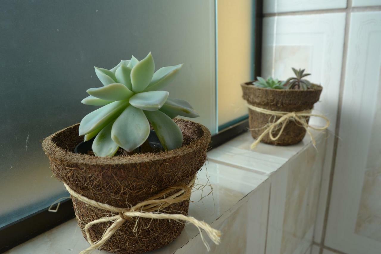 Refúgio Na Serra, Um Espaço Desfrutado! Apartamento